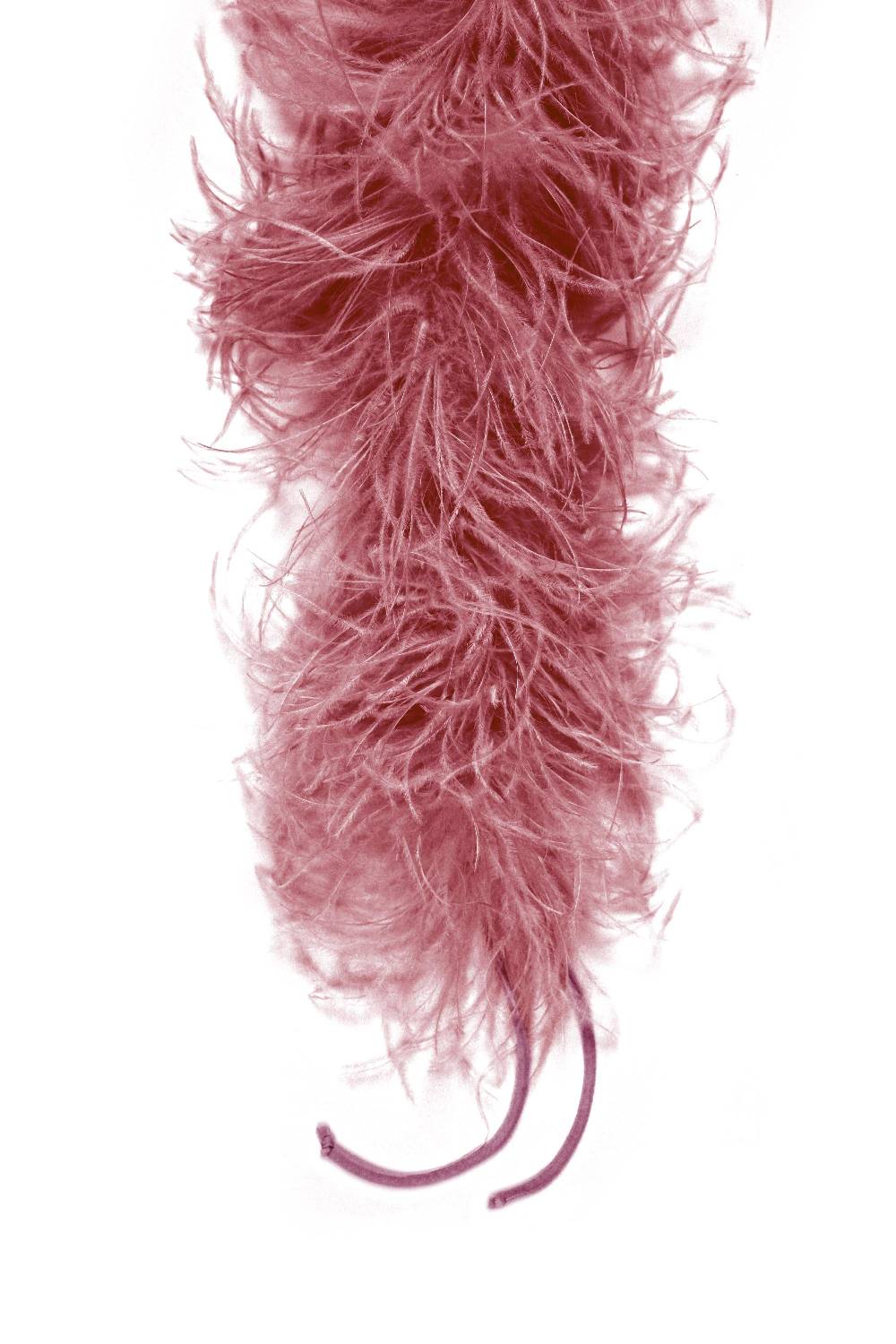 La Petite Robe Di Chiara Boni feathers boa Vendita