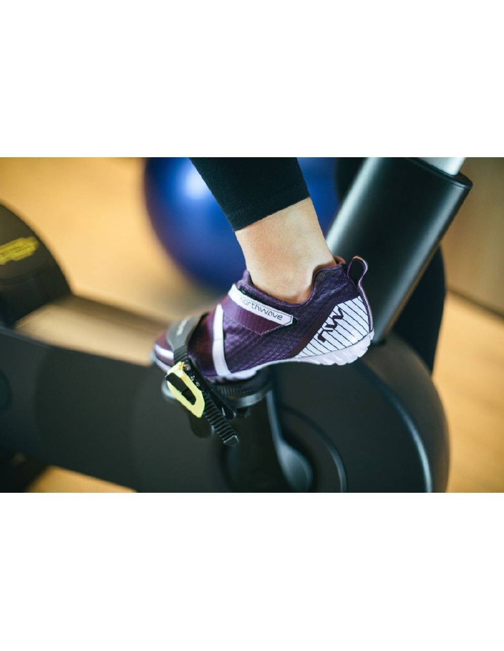 Northwave ACTIVE OUTLET Shopping online