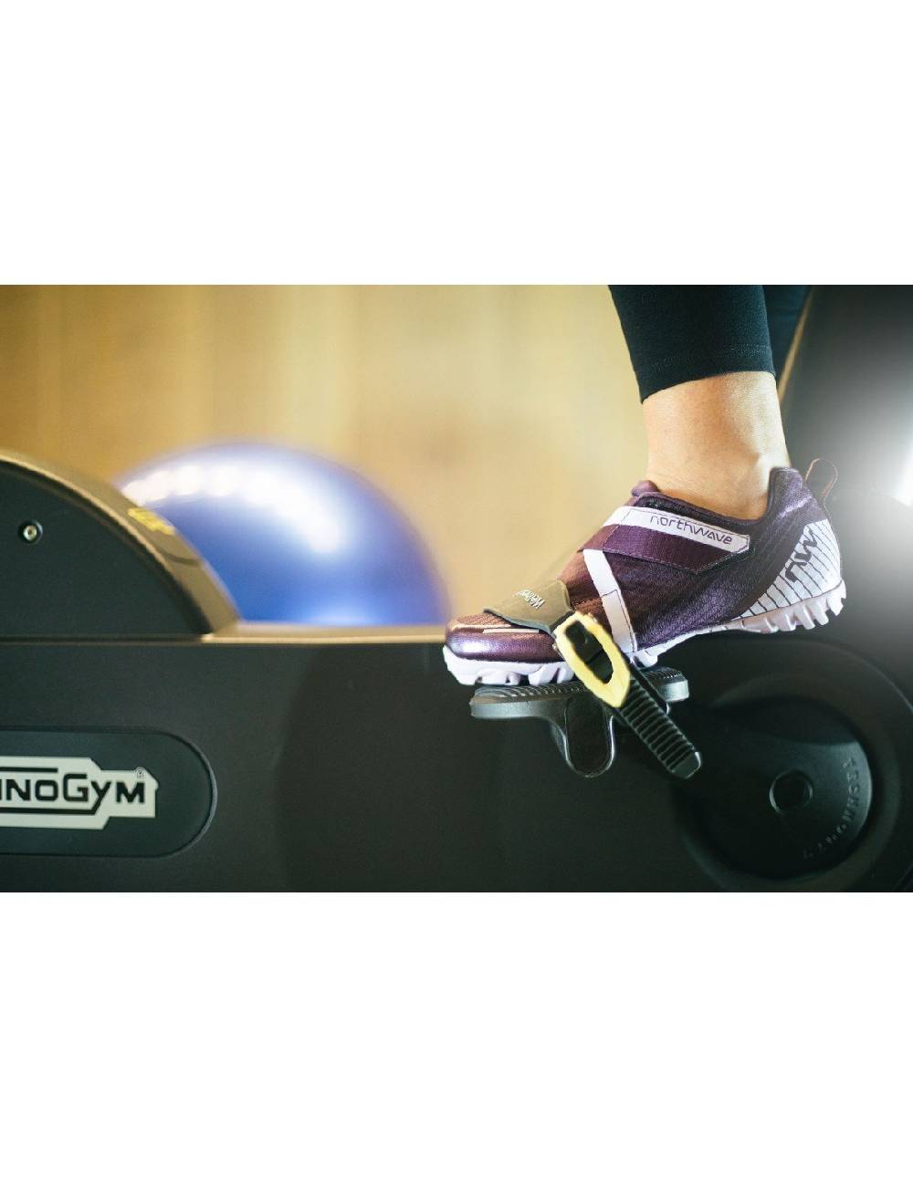 Northwave ACTIVE OUTLET Shopping online