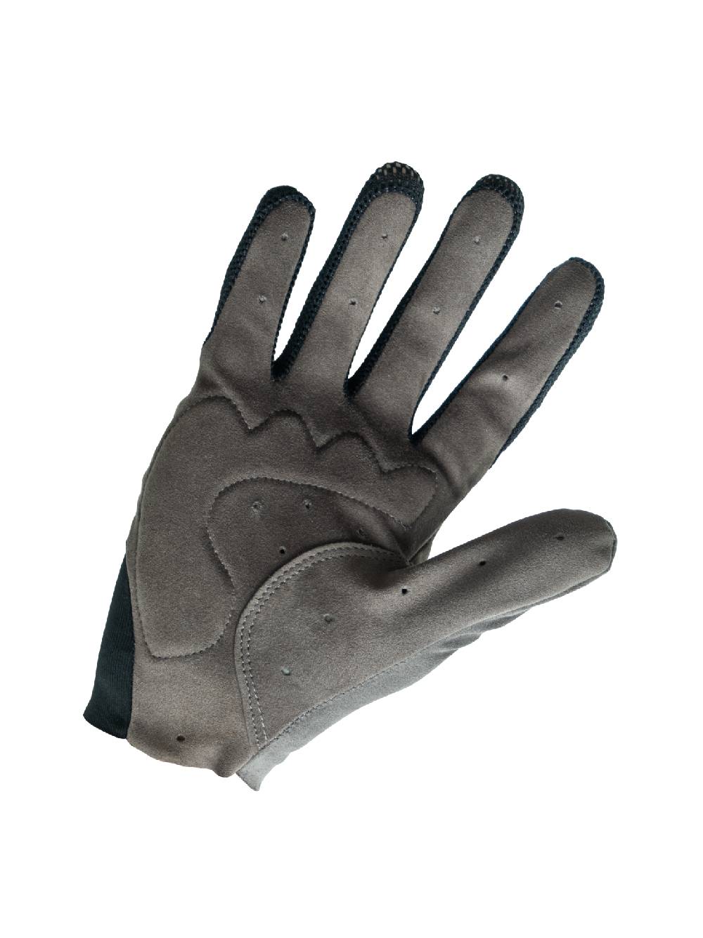 Q36.5 Adventure Guanti Lunghi Grigio Promozione