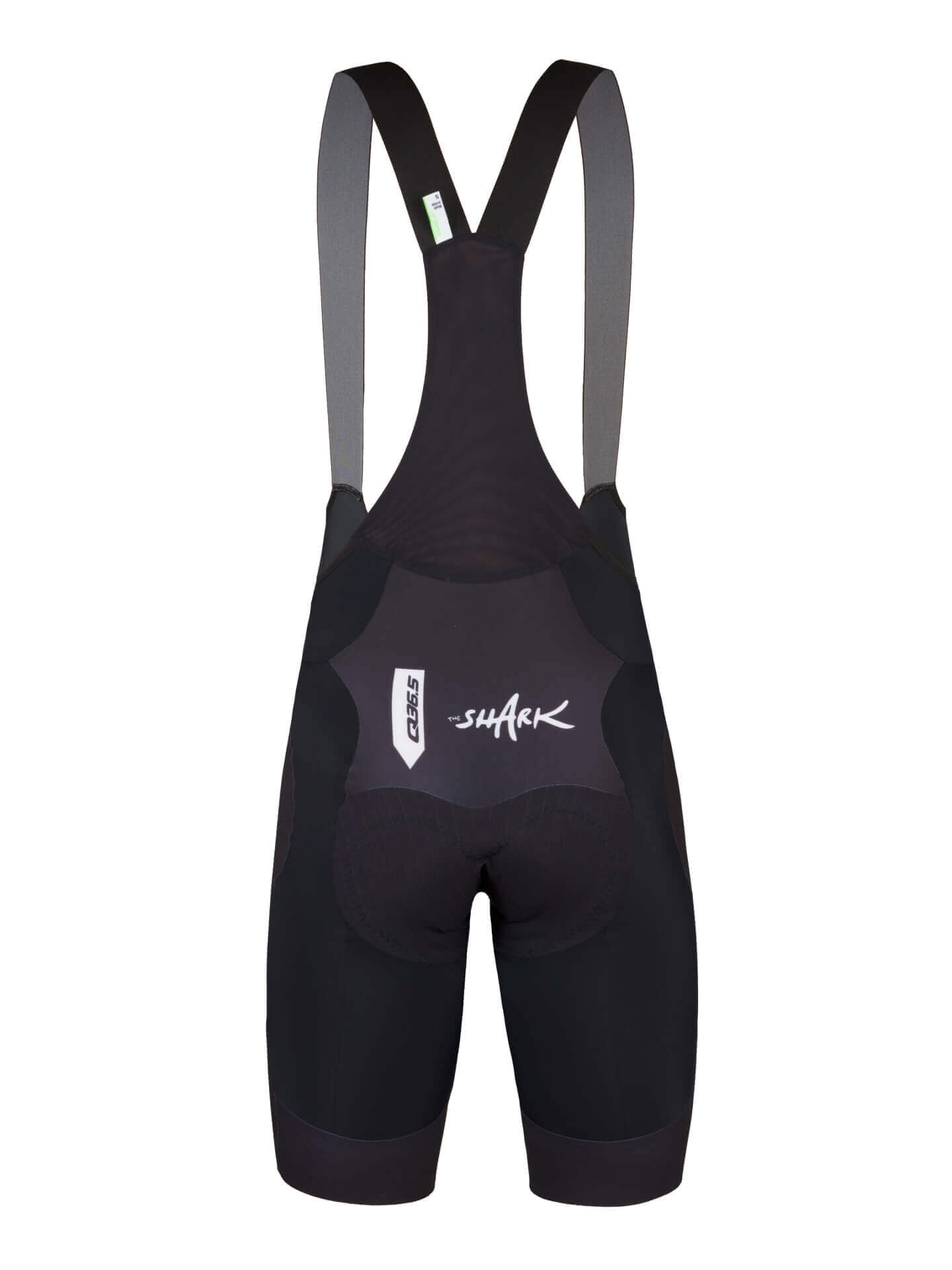 Q36.5 Gregarius Pro Nibali Shark Pantaloncini Spedizione Gratuita