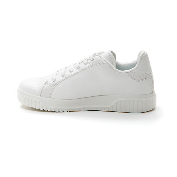 Lotto VENUS AMF II ZEBRA JR Italia