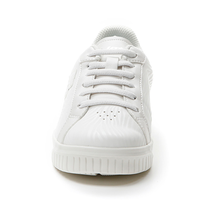 Lotto VENUS AMF II ZEBRA JR Italia