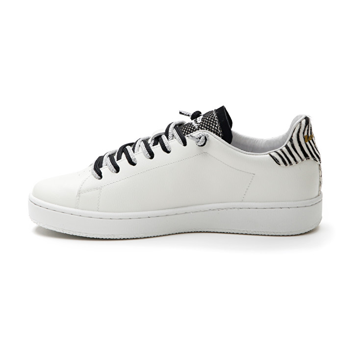 Lotto AUTOGRAPH ZEBRA W Promozione Limitata