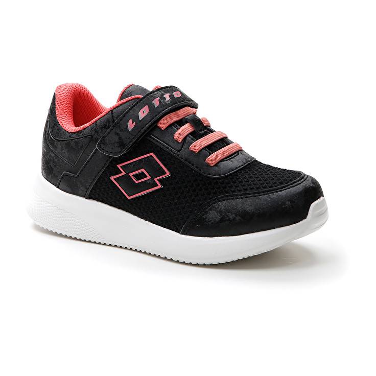 Lotto EVOLITE AMF III CL S Liquidazione