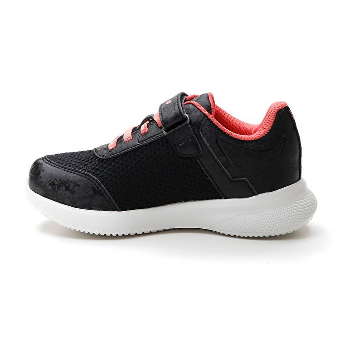 Lotto EVOLITE AMF III CL S Liquidazione
