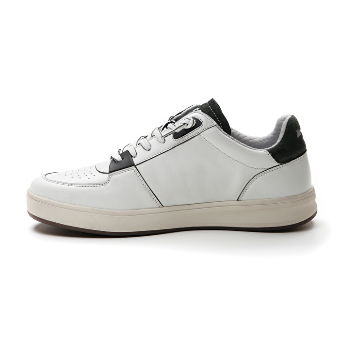 Lotto SIGNATURE EDGE Latest fashion