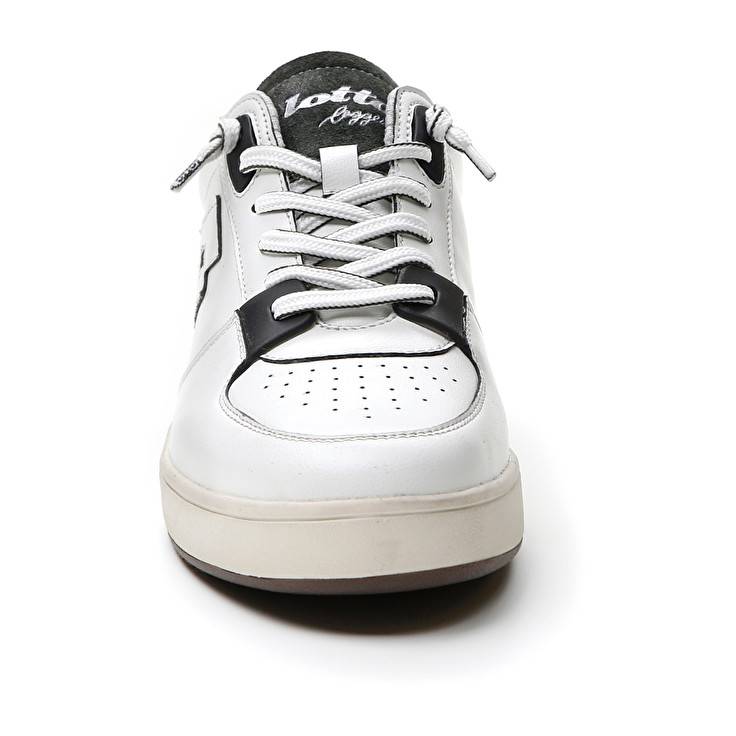 Lotto SIGNATURE EDGE Latest fashion