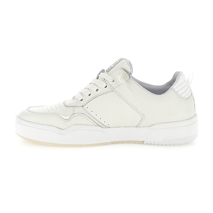 Lotto HOOP STARS ACQUISTA ORA