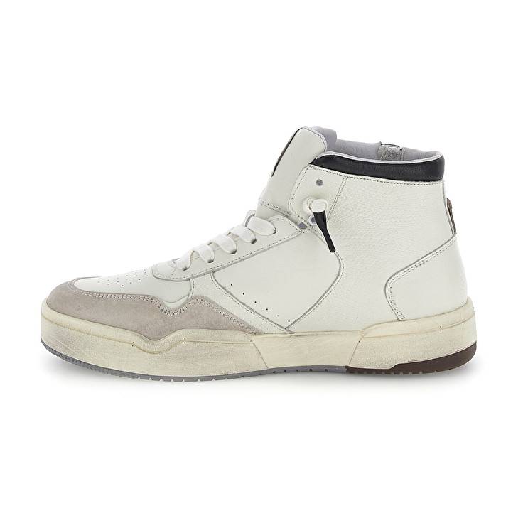 Lotto HOOP STARS HIGH SUEDE Ultimo giorno